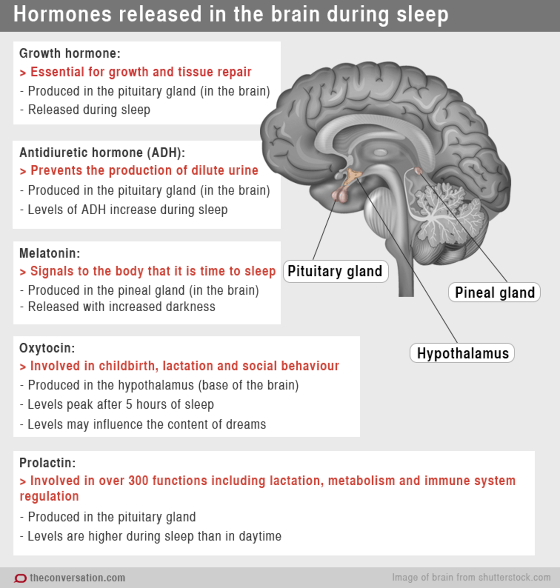 Does oxytocin make you sleepy? Image