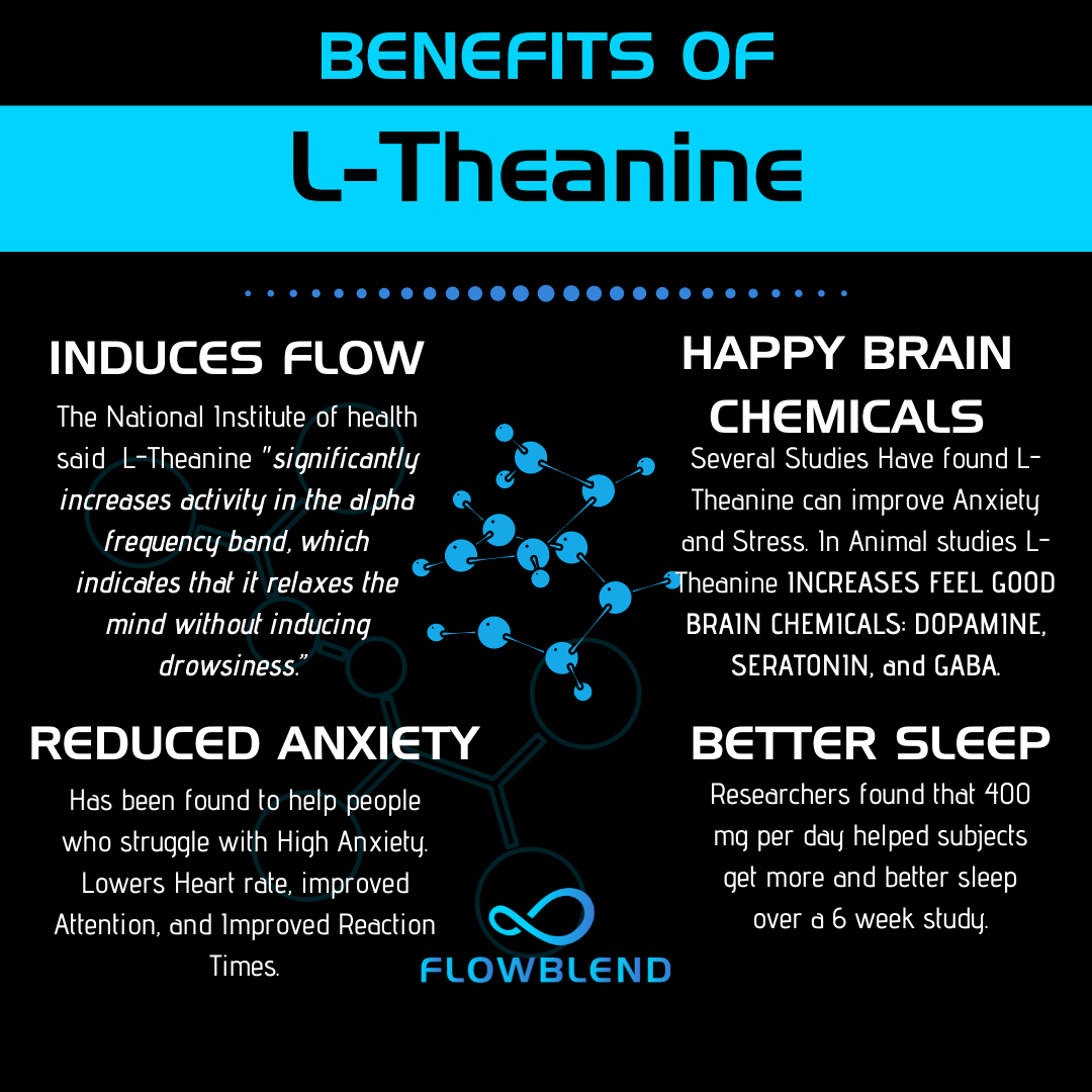 What does L-theanine do for anxiety? Image